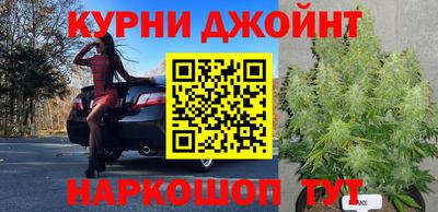 прущие крисы Изобильный