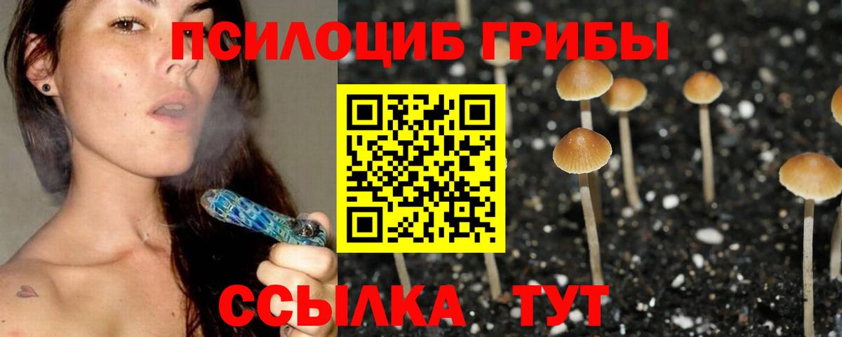 Псилоцибиновые грибы MAGIC MUSHROOMS Кстово